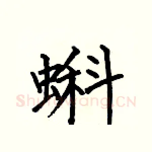 蝌