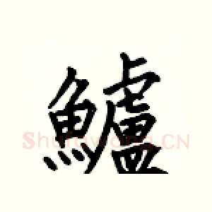 鱸