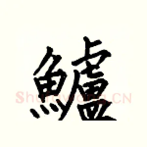 鱸