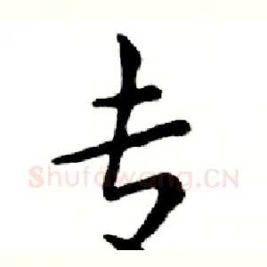 专