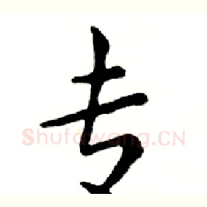 专