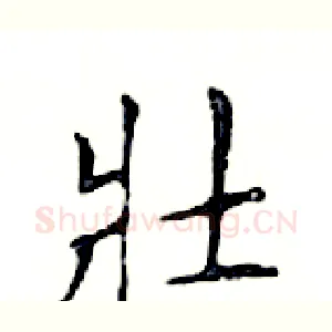 壯