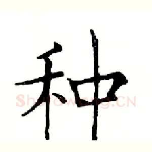 种