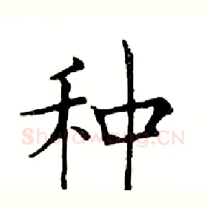 种