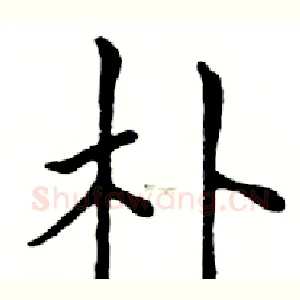 朴