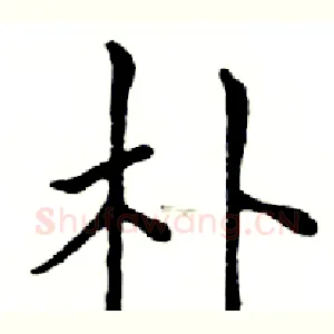朴
