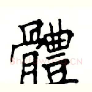 體