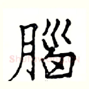 腦
