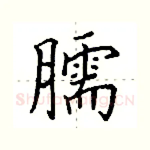 臑