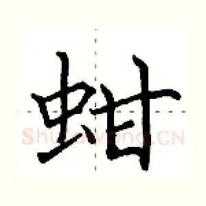 蚶