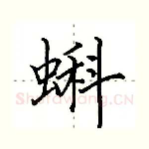 蝌