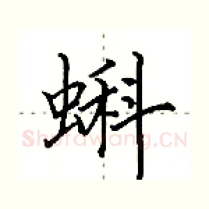 蝌