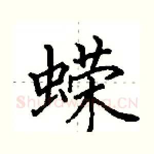 蝾