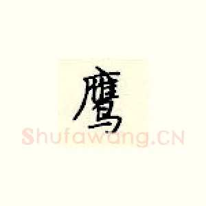 鹰