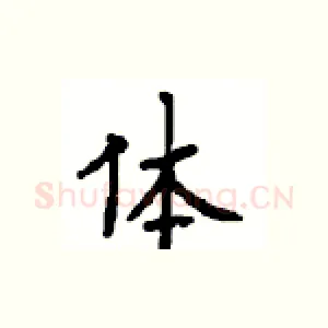体