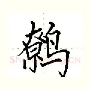 鹩