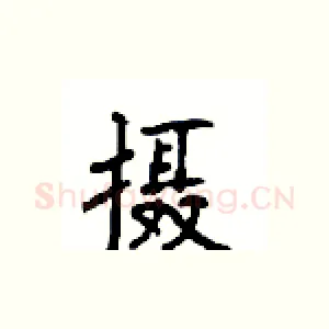 摄
