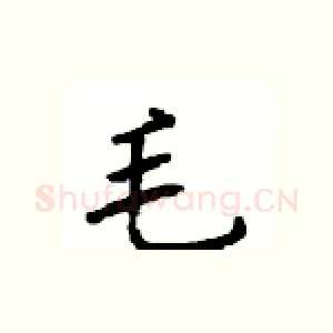 毛