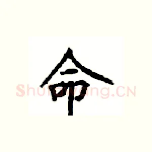 命