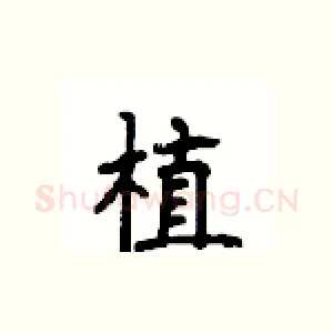 植