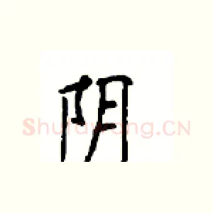 阴