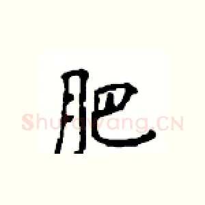 肥