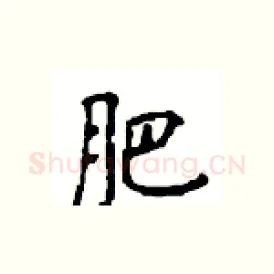 肥