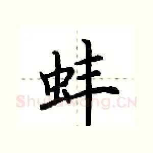 蚌