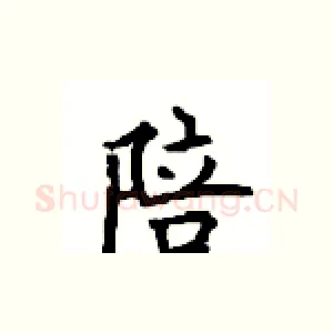 陪