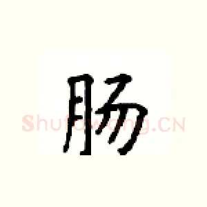 肠