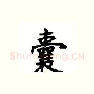 囊