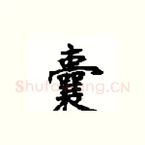 囊