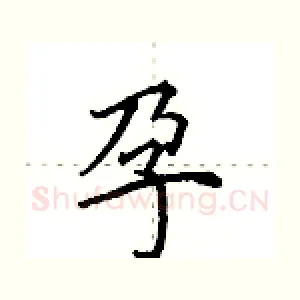 孕
