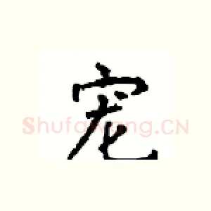 宠