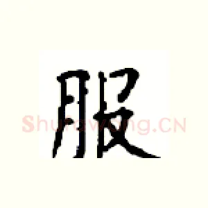 服