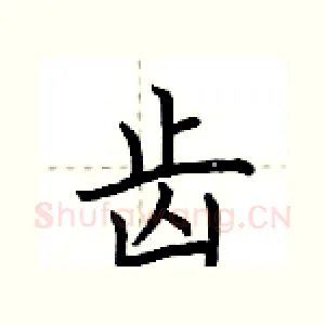齿