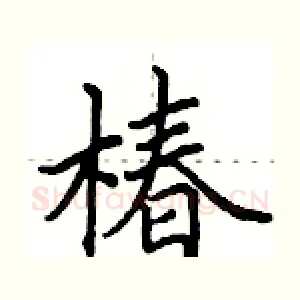 椿