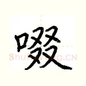 啜