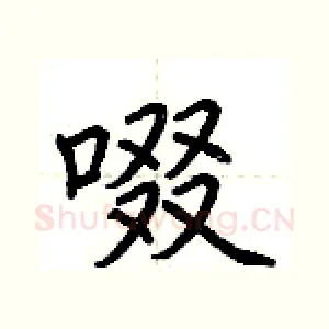 啜