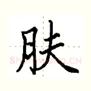 肤