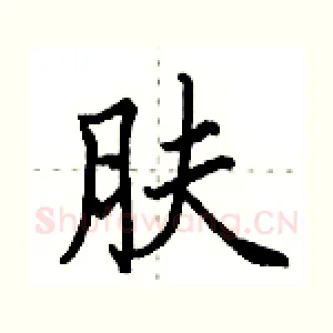 肤