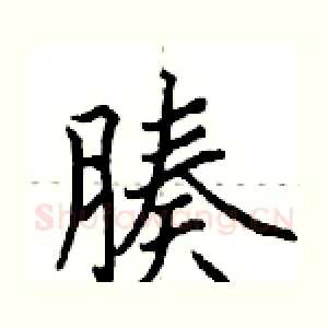 腠