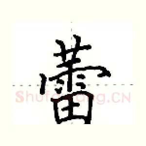 蕾