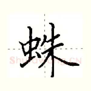 蛛