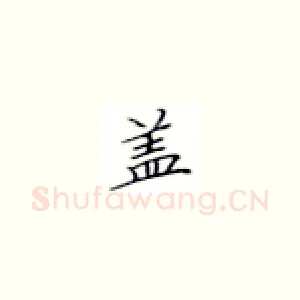 盖
