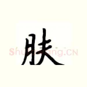 肤