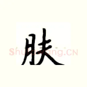 肤