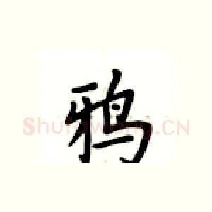 鸦