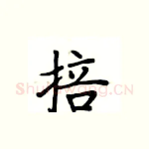 掊