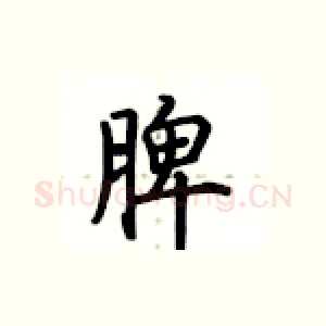 脾